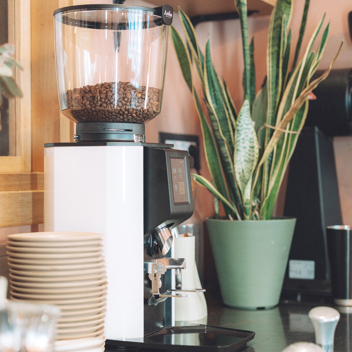 Anfim Alba Espresso Grinder