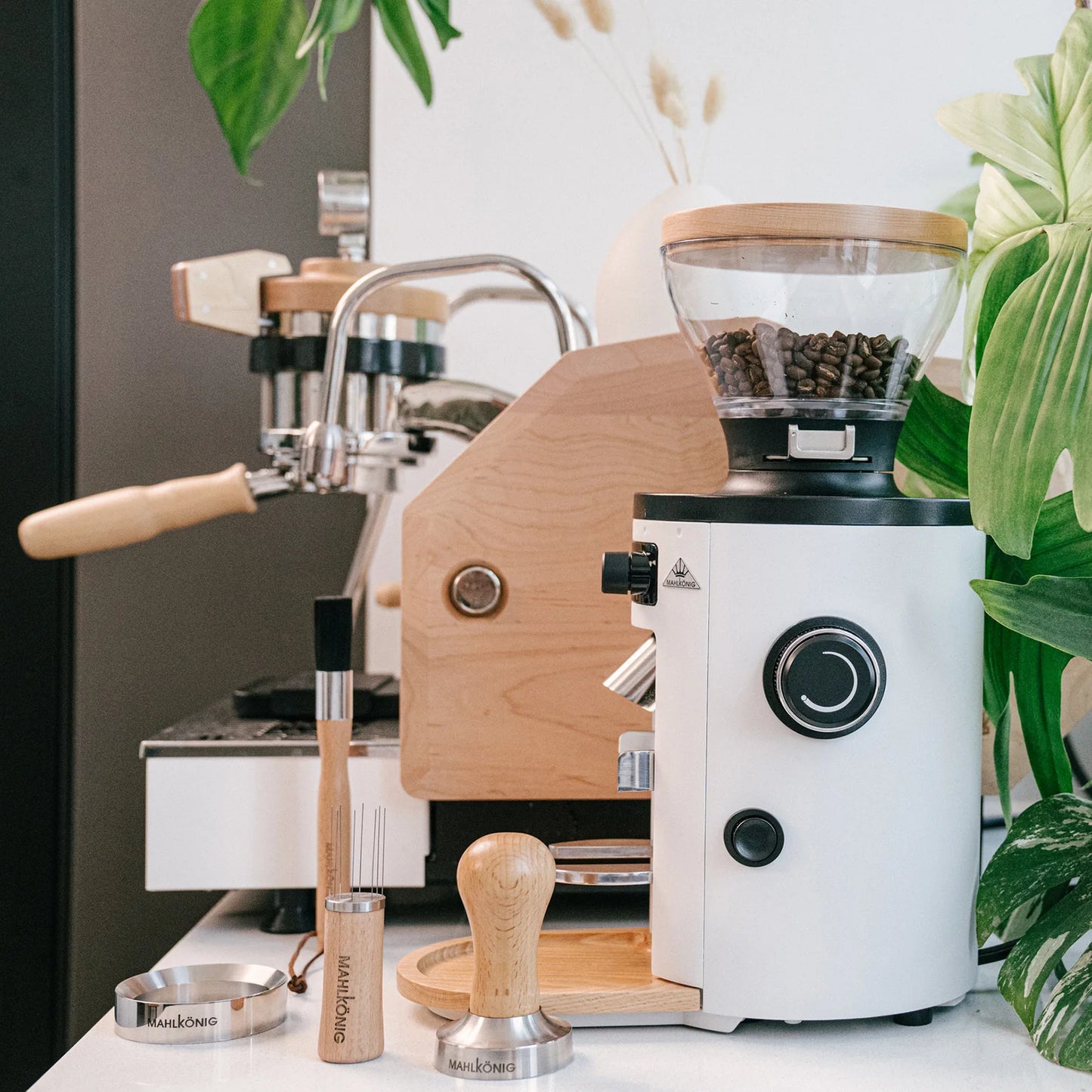 Mahlkönig X54 Multi - Purpose Home Grinder - Ultimate Coffee Machines